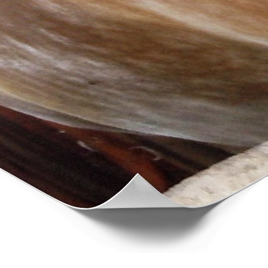 Paarden in Stall 1 Poster (Hoek)