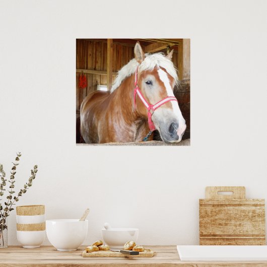 Paarden in Stall 1 Poster (Keuken)
