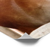 Paarden in Stall 3 Poster (Hoek)