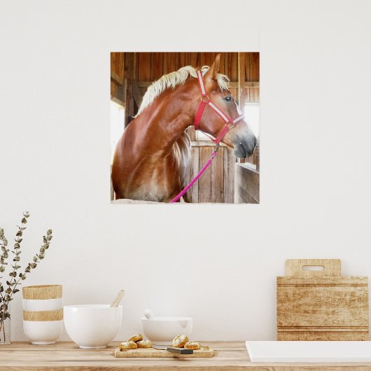 Paarden in Stall 3 Poster (Keuken)
