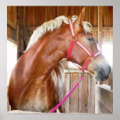 Paarden in Stall 3 Poster (Voorkant)