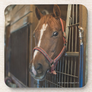 Paarden in stallen onderzetter