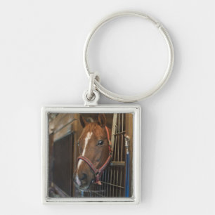 Paarden in stallen sleutelhanger