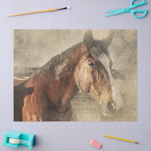 Paarden in stof tissuepapier (Craft)