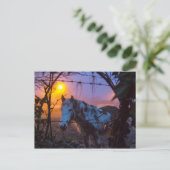 Paarden in Sunset Irish Fog Briefkaart (Staand voorkant)