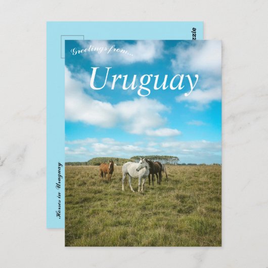 Paarden in Uruguay Briefkaart (Voorkant / Achterkant)
