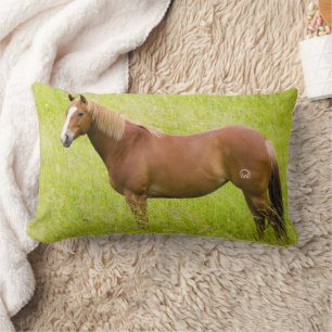 Paarden in voorjaarsveld kussen