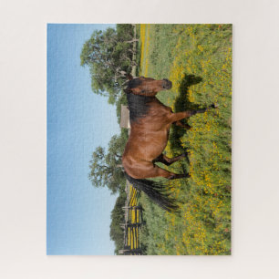 Paarden in weide legpuzzel