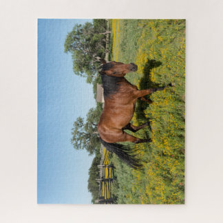 Paarden in weide legpuzzel