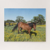 Paarden in weide legpuzzel (Horizontaal)
