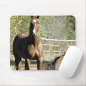 Paarden in weide muismat (Met muis)