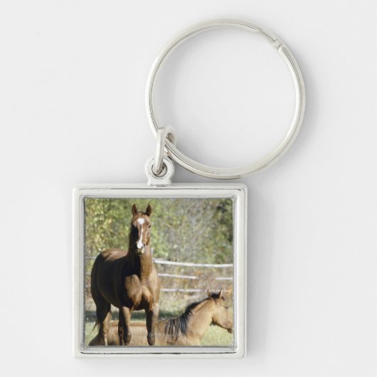 Paarden in weide sleutelhanger (Voorkant)