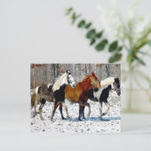 Paarden in wintersneeuw briefkaart (Staand voorkant)