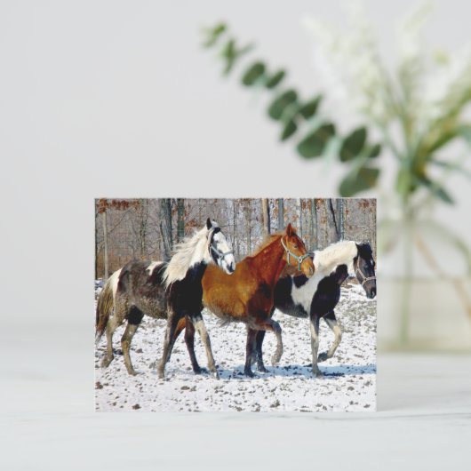 Paarden in wintersneeuw briefkaart (Staand voorkant)