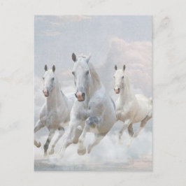 Paarden in wolken briefkaart