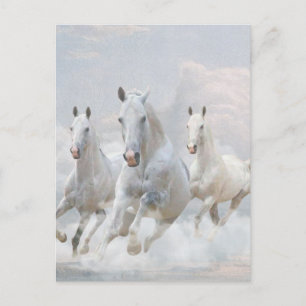 Paarden in wolken briefkaart