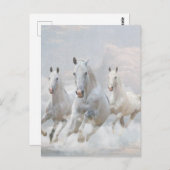 Paarden in wolken briefkaart (Voorkant / Achterkant)