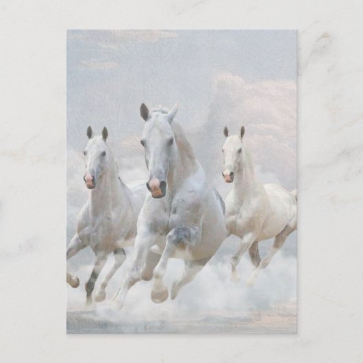 Paarden in wolken briefkaart (Voorkant)