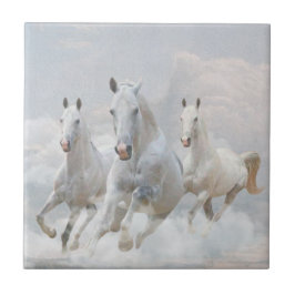 Paarden in wolken tegeltje
