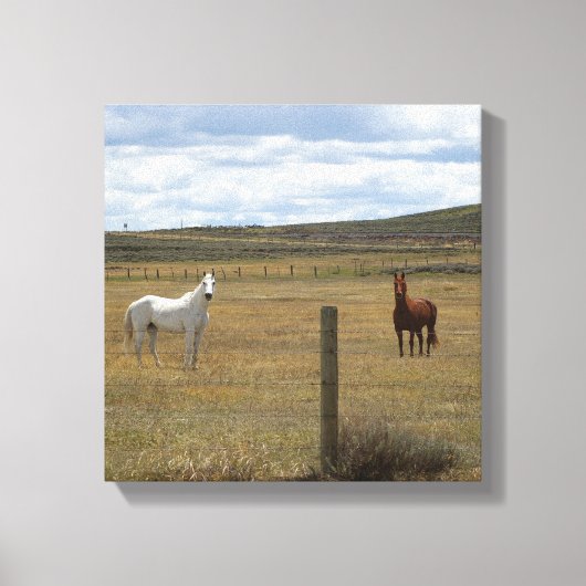Paarden in Wyoming Canvas (Voorkant)