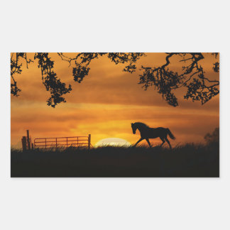 Paarden in zonnebank-Sticker Rechthoekige Sticker