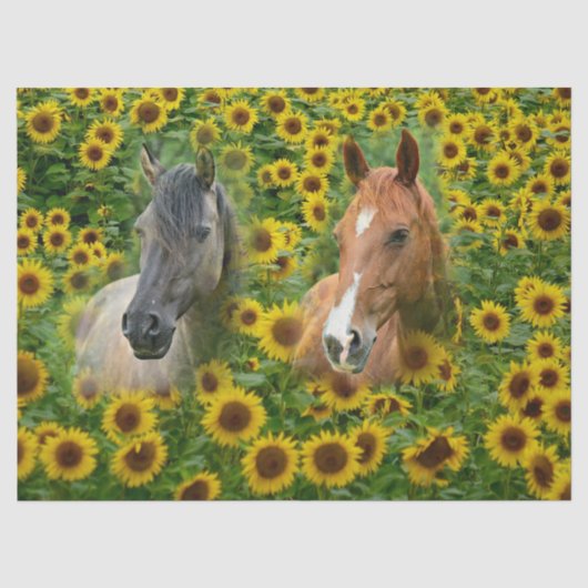 Paarden in zonnebloemveld tissuepapier (Voorkant)