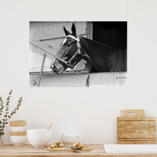 Paarden in zwart-wit, fotografie poster (Keuken)