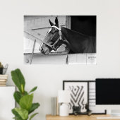 Paarden in zwart-wit, fotografie poster (Thuiskantoor)