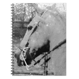 Paarden in zwart-wit notitieboek