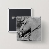 Paarden in zwart-wit vierkante button 5,1 cm (Voorkant /achterkant)