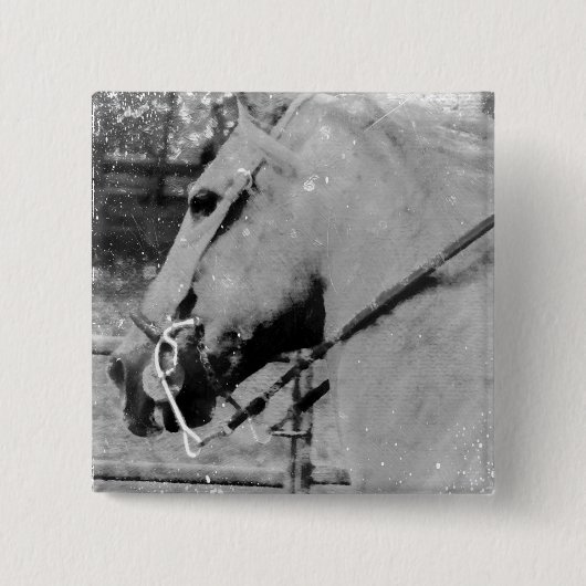 Paarden in zwart-wit vierkante button 5,1 cm (Voorkant)