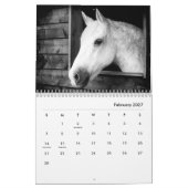 Paarden in zwart-wit wandkalender kalender (Feb 2027)