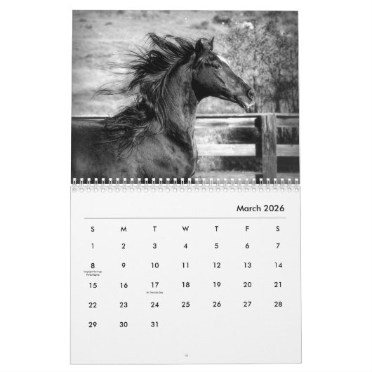 Paarden in zwart-wit wandkalender kalender (Mar 2026)
