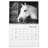 Paarden in zwart-wit wandkalender kalender (Feb 2026)