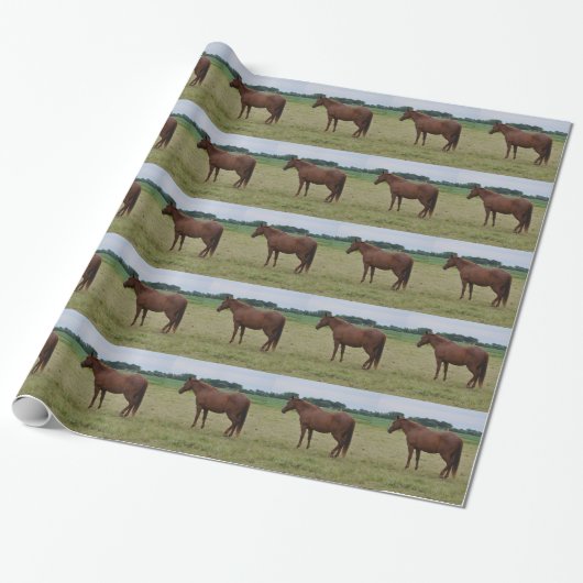 Paarden Inpakpapier (Uitgerold)