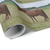 Paarden Inpakpapier (Rol Hoek)