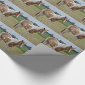 Paarden Inpakpapier (Hoek)
