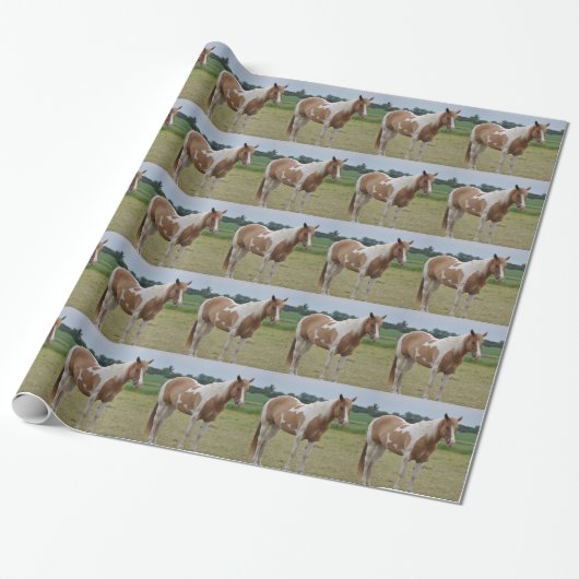 Paarden Inpakpapier (Uitgerold)