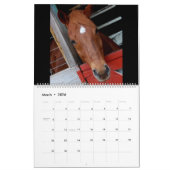 paarden kalender (Mar 2026)