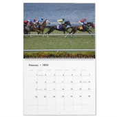 paarden kalender (Feb 2026)