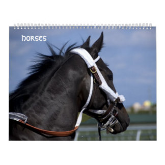 paarden kalender