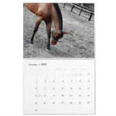 paarden kalender (Jan 2027)