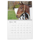 Paarden Kalender (Feb 2026)