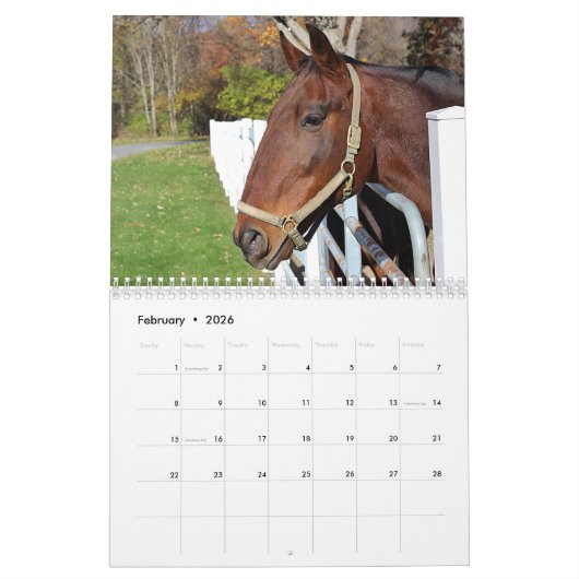 Paarden Kalender (Feb 2026)