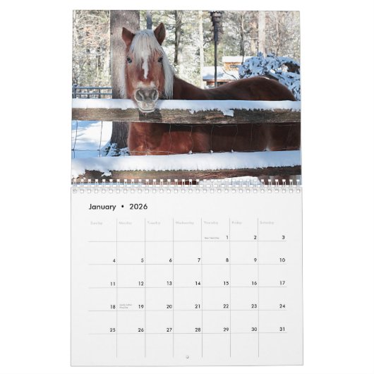 Paarden Kalender (Jan 2026)