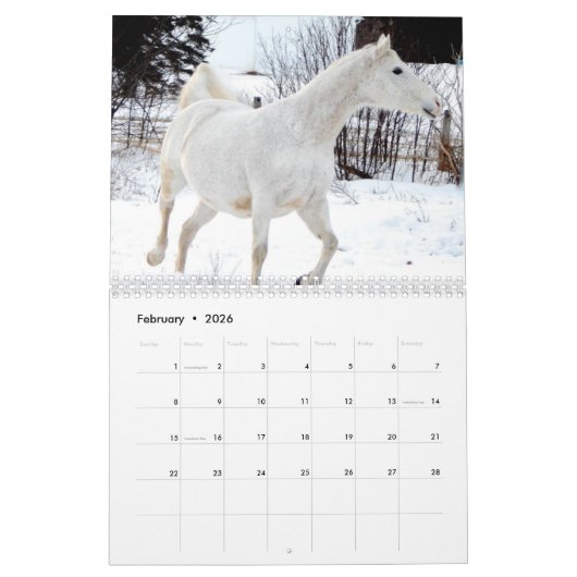 Paarden Kalender 2017 (Feb 2026)