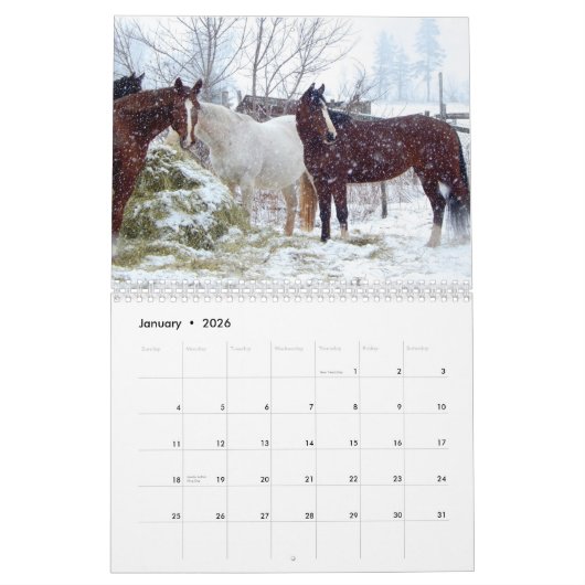 Paarden Kalender 2017 (Jan 2026)