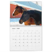 Paarden Kalender 2017 (Mar 2027)