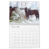Paarden Kalender 2017 (Jan 2027)