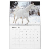 Paarden Kalender 2017 (Feb 2027)